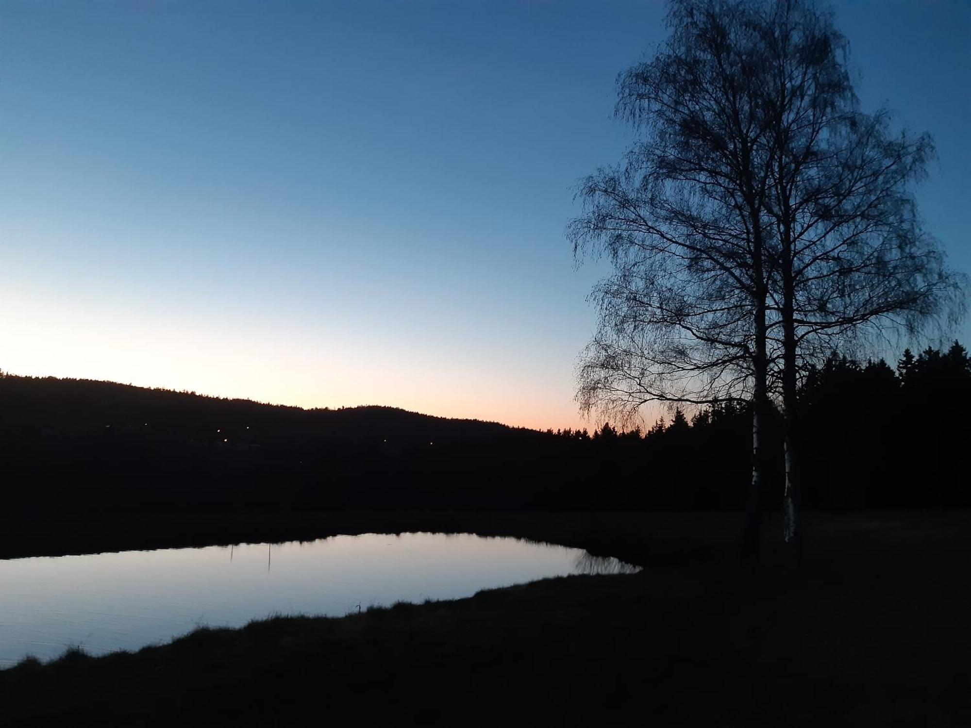 Zum Bergbauern Hotel Waidhaus Eksteriør billede