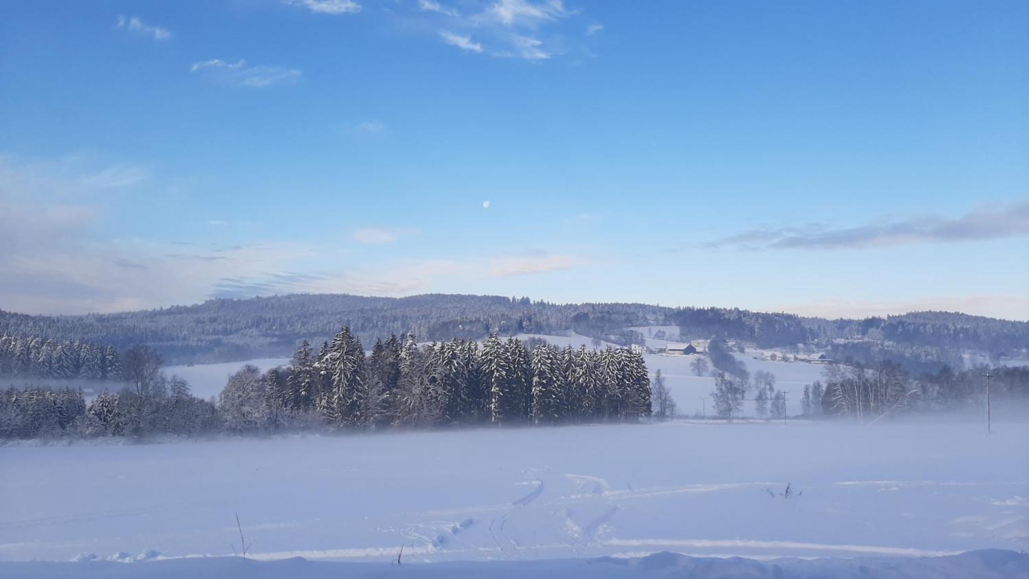 Zum Bergbauern Hotel Waidhaus Eksteriør billede